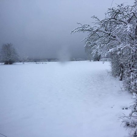 Le DiamanSter Villa Stavelot Bagian luar foto