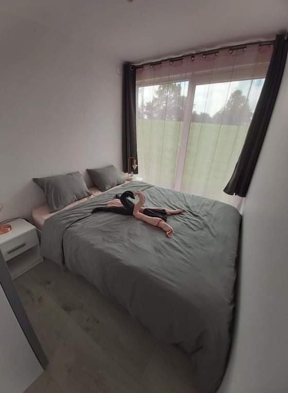 Le DiamanSter Villa Stavelot Bagian luar foto